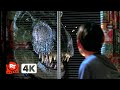 The Lost World Jurassic Park 1997 4K The T Rex Eats A Dog Movieclips