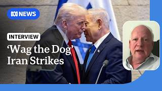 'Classic case of wag the dog' for Trump and Netanyahu in Iran: fmr diplomat | ABC NEWS