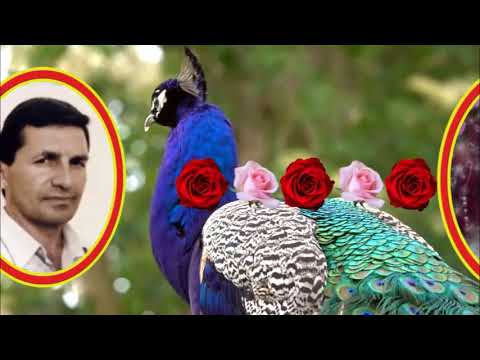 Dunya yalan dunyadı