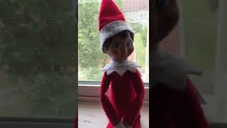 My elf on the shelf Edward sings shake it off
