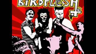 Birdflesh - Everything is Shit