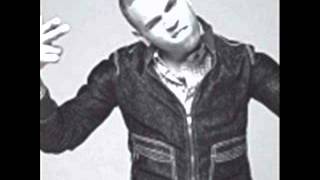 Chris Brown  Bitch I&#39;m Paid