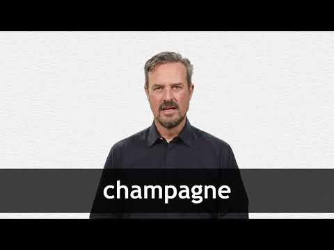 CHAMPAGNE FLUTE definition in American English