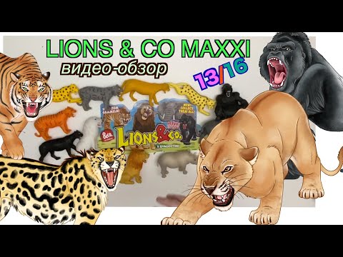 Lions&Co Maxxi (Львы и Ко Макси), ДеАгостини (DeAgostini), 2019, распаковка и видео-обзор