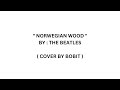 Norwegian Wood ( with lyrics ) - The Beatles ...
