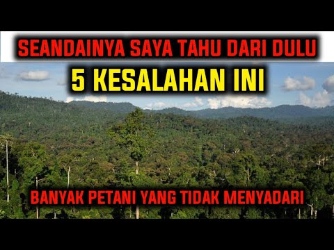 , title : 'TAHUKAH ANDA ⁉️ MENGAPA HUTAN TETAP SUBUR PADAHAL TIDAK PERNAH DIPUPUK❓'