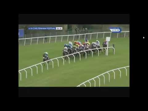 2016 David Nicholson Mares' Hurdle - Cheltenham Festival