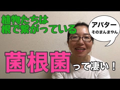 菌根:美しい植物の秘密 トピックス