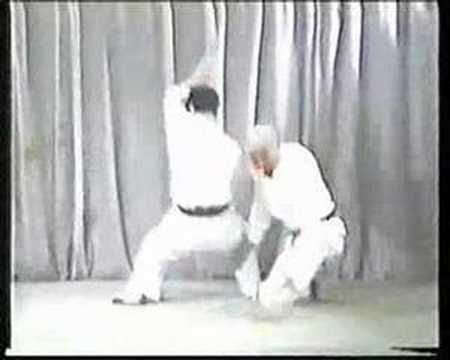 Wado Karate Ohyo Kumite and Fighting Techniques