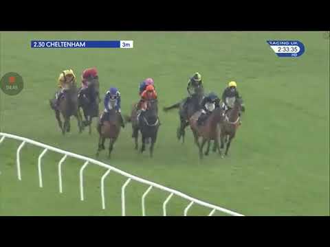 Albert Bartlett novices hurdle