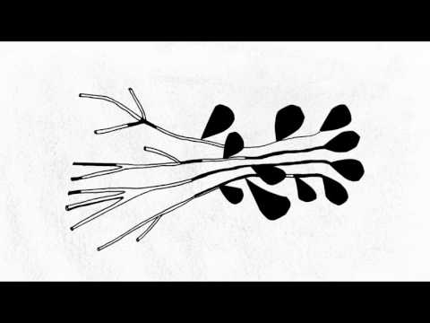 Raphael Sales - Os Mininim [Single 2017]