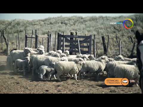 31 Estancias y Tradiciones, capitulo: Establecimiento El Porvenir