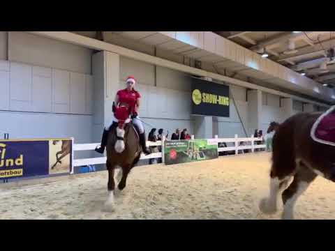 Pferd & Jagd 2018