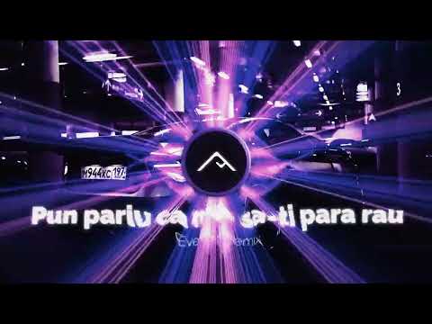 Guta si Play Aj - Pun pariu ca n- o sa-ti para rau | Everest Remix