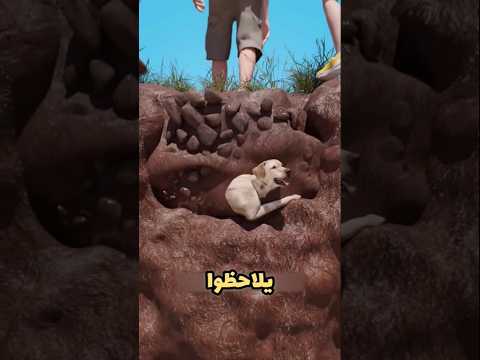 دفن الكلب وهو حي... والنهاية صادمة! 😱#shortvideo