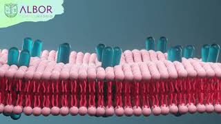 Técnico Superior en Anatomía Patológica y Citodiagnóstico - CDP Albor Madrid