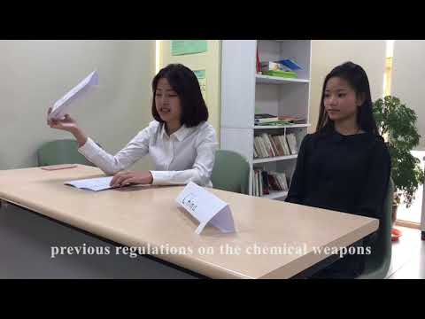 Mock Model United Nations for 1st MUNers