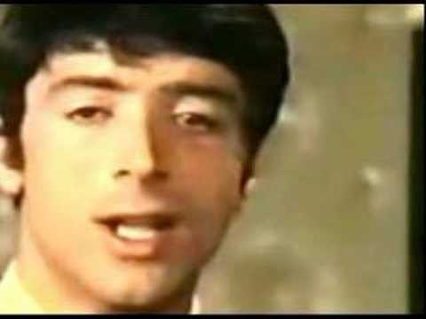 Don Backy - Frasi d'amore