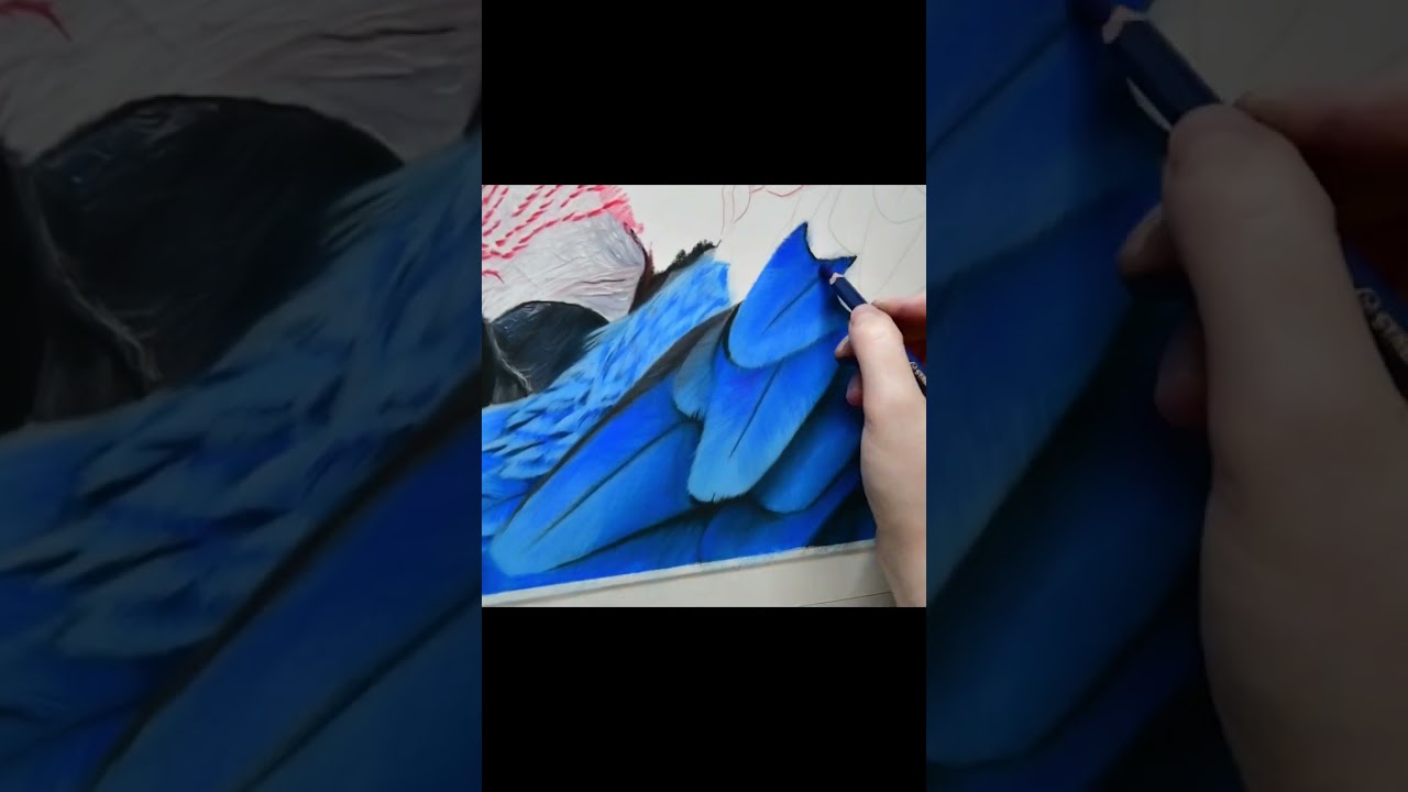 This is how I draw feathers. #art