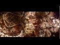 Guy Mantzur - Tronic Podcast(3) 