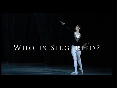 Xander Parish - Who is Siegfried?