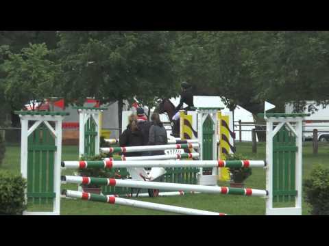 Sportpferde-ASG - Horse Gym's Concord SPR L