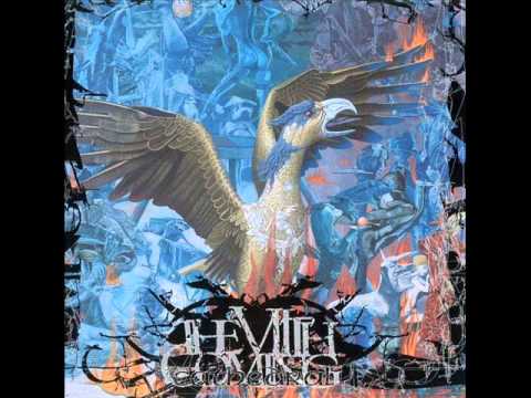 Cathedral - Aphrodite Winter (Studio Version)