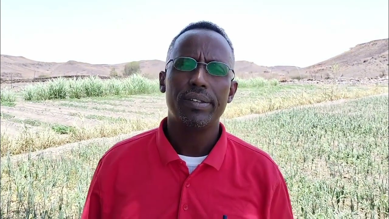 M. Abdelkader Doualeh - Perspectives