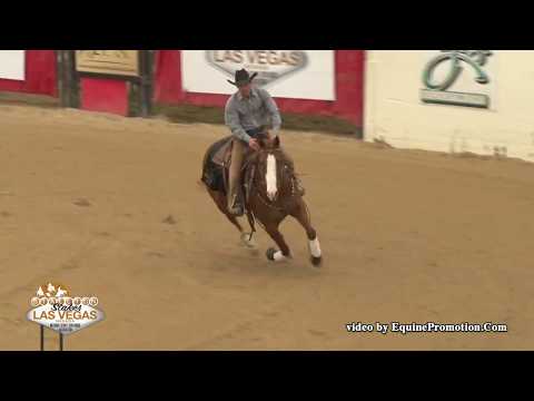 SJR Reygun ridden by Brady E. Weaver  - 2017 NRCHA Stallion Stakes (FINALS - Rein, Open)