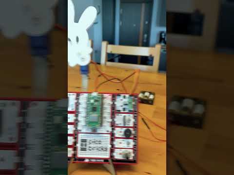 Grab your PicoBricks and PicoBricks buddy, and dive into fun coding projects!👋