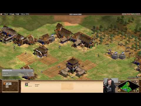 Ich hasse das Lategame | Age of Empires 2 [#28]