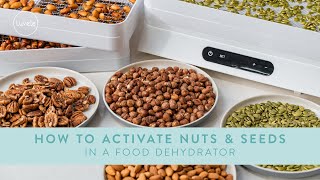 How to ACTIVATE NUTS and SEEDS in a food dehydrator