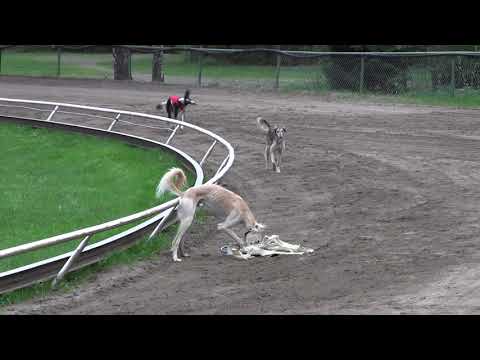 Kahar koejuoksu 18.5.2021