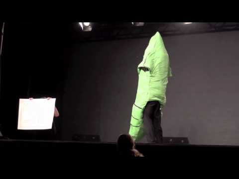Anime North 2010 - Masquerade - Entry 25 - Metapod
