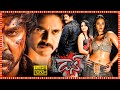 Don Telugu Superhit Action Full Length HD Movie Nagarjuna Anushka Tollywood Box Office