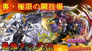 【パズドラ実況】ディアブロス×闇イデアルで裏闘技場ソロクリア！コンボパ最強タッグ!!