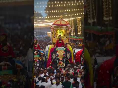 Mysore Dasara ambari Best moment of world#dasara #mysore #ambari #palace