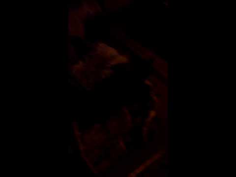 Darien likes rock music