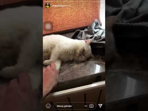 Atakan Özyurt son İnstagram hikayeleri ! (Sevgilisi içerir) 04.09.2018