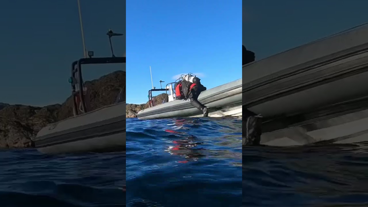 YouTube Short thumbnail