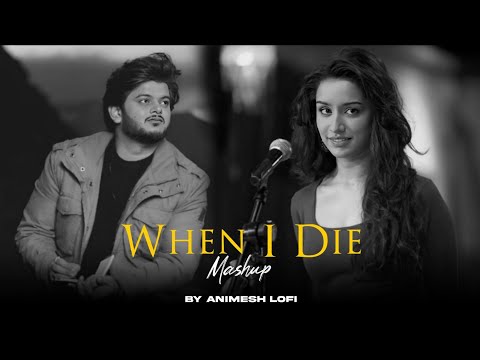 When I Die Mashup | Tu Hi Hai x Aaya Na Tu | Animesh Lofi | Emotion Chillout 2024