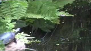 Times When I Know You'll Be Sad - Biosphere