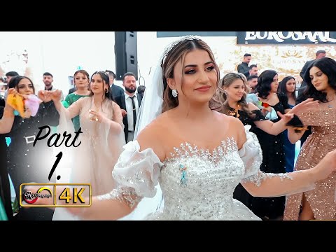 Bashar & Lina - Part 1 - Tarek Shexani - by Roj Company