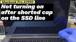 3 Best Computer Repair in Adelaide SA - Expert Recommendations