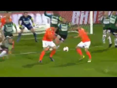 Ried vs Hartberg 2nd goal (Heil J. (Gollner M.), Hartberg) amazing