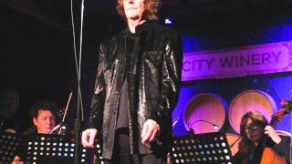 Misty Roses COLIN BLUNSTONE at The City Winery, NYC