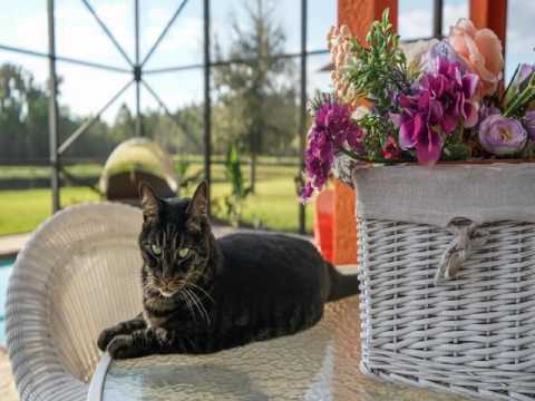 케이윌 - 나 나쁘죠 (Feat 김태우) kpop 韓國歌謠