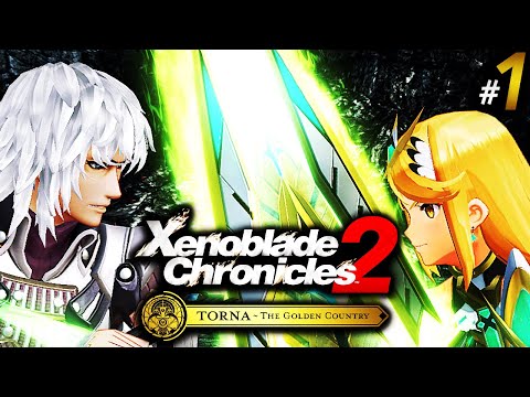 Xenoblade Chronicles 2: The Kingdom of Torna?