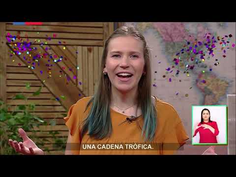 AprendoTV - Ciencias Naturales 3° y 4° básico/ Capítulo 16