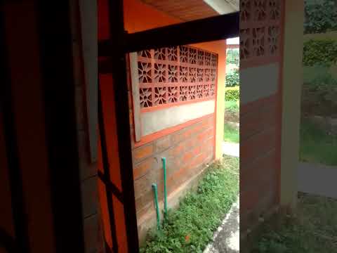 Amazing peach melba paint..#Shorts #Viral video.